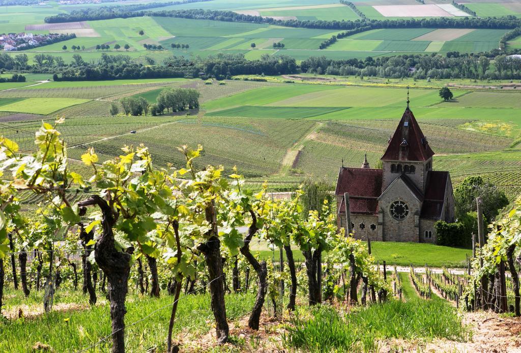 Hofgut Wissberg - Das Weinberghotel Sankt Johann  Ngoại thất bức ảnh